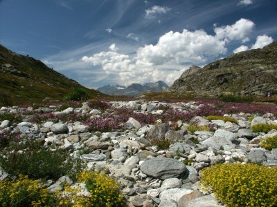 10-Alpské údolí.JPG