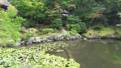 ... zahrada ve městě Nara