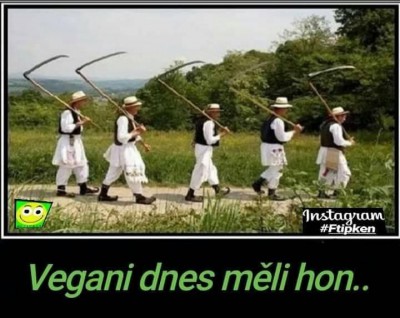 vegani.jpg